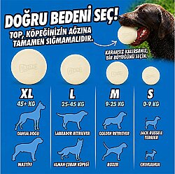 Chuckit Max Glow Gece Parlayan Köpek Oyun Topu (Orta Boy) - 5