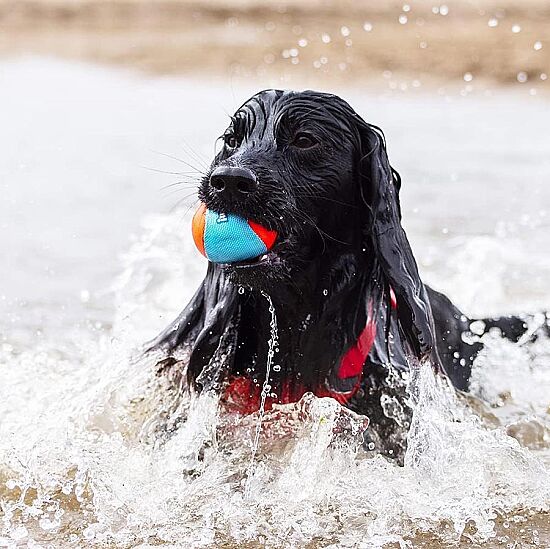Chuckit Suda Batmayan Üçlü Köpek Topu - 3 lü Paket - 5