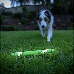 Chuckit Max Glow Ultra Gece Parlayan Köpek Oyuncağı - 5