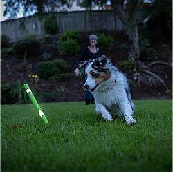 Chuckit Max Glow Ultra Gece Parlayan Köpek Oyuncağı - 6