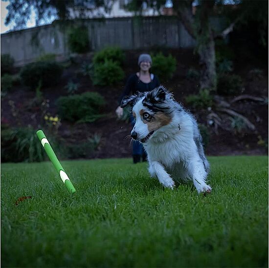 Chuckit Max Glow Ultra Gece Parlayan Köpek Oyuncağı - 6
