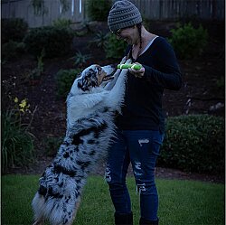 Chuckit Max Glow Ultra Gece Parlayan Köpek Oyuncağı - 7