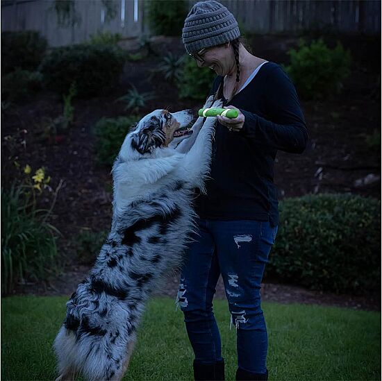 Chuckit Max Glow Ultra Gece Parlayan Köpek Oyuncağı - 7