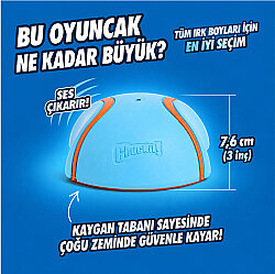 Chuckit Indoor Super Slider Eve Özel İnteraktif Oyuncak - 3