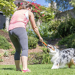 Chuckit Ultra Fetch Stick Köpek Oyuncağı 28 Cm - 4