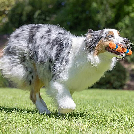 Chuckit Ultra Fetch Stick Köpek Oyuncağı 28 Cm - 5