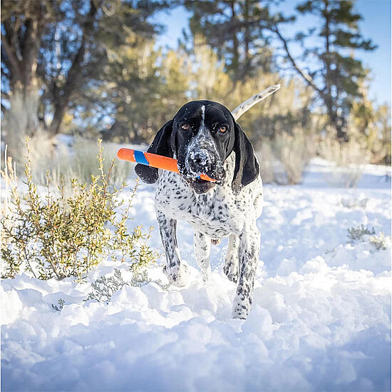 Chuckit Ultra Fetch Stick Köpek Oyuncağı 28 Cm - 6