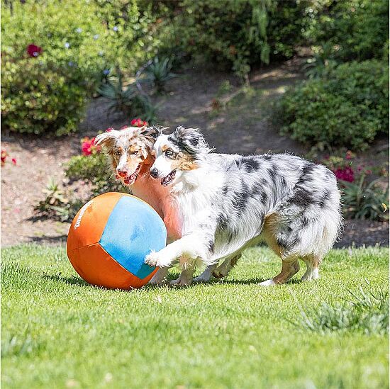 Chuckit Big Air Fetch Ball 36 Cm Çapında Şişirilebilir Köpek Oyun Topu - 4