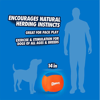 Chuckit Big Air Fetch Ball 37 Cm Çapında Şişirilebilir Köpek Oyun Topu