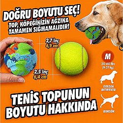 Chuckit Eco Fetch Ball Doğa Dostu Köpek Oyun Topu (Orta Boy) - 4