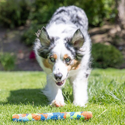 Chuckit Eco Fetch Stick Doğa Dostu Köpek Oyuncağı - Thumbnail