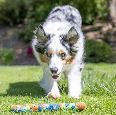 Chuckit Eco Fetch Stick Doğa Dostu Köpek Oyuncağı