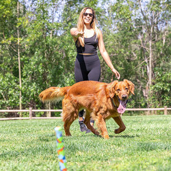 Chuckit Eco Fetch Stick Doğa Dostu Köpek Oyuncağı - Thumbnail