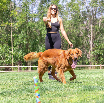 Chuckit Eco Fetch Stick Doğa Dostu Köpek Oyuncağı