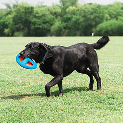 Chuckit Fetch Flight Frizbi - Thumbnail