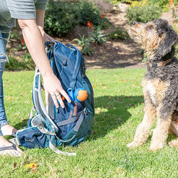Chuckit Fetch Fold Mini Katlanabilir Top Fırlatıcı - Küçük Boy - Thumbnail
