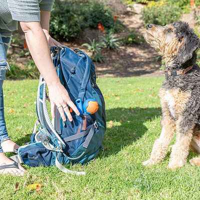 Chuckit Fetch Fold Mini Katlanabilir Top Fırlatıcı - Küçük Boy