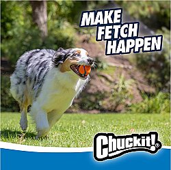 Chuckit Fetch Medley 3lü Köpek Oyun Topu Seti - 5
