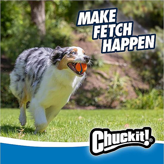 Chuckit Fetch Medley 3lü Köpek Oyun Topu Seti - 5