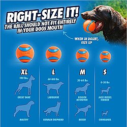Chuckit Fetch Medley 3lü Köpek Oyun Topu Seti - 6