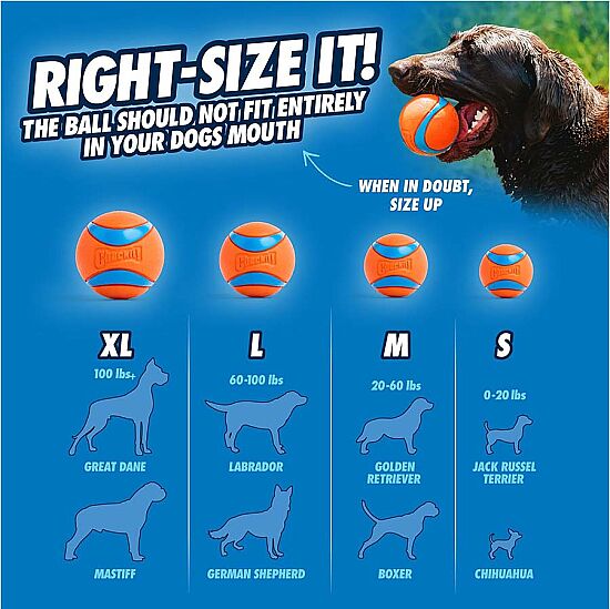 Chuckit Fetch Medley 3lü Köpek Oyun Topu Seti - 6