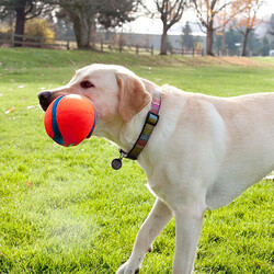 Chuckit Fumble Fetch Köpek Oyun Topu - Thumbnail