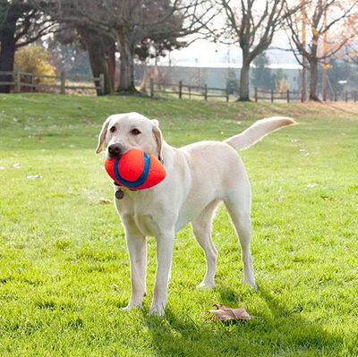 Chuckit Fumble Fetch Köpek Oyun Topu