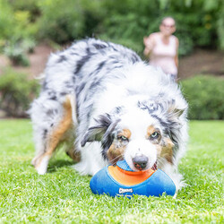 Chuckit Giggle Fumble Fetch Sesli Köpek Oyun Topu - Thumbnail