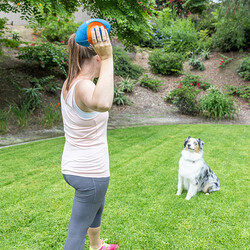 Chuckit Giggle Fumble Fetch Sesli Köpek Oyun Topu - Thumbnail