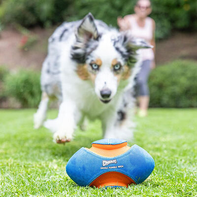 Chuckit Giggle Fumble Fetch Sesli Köpek Oyun Topu