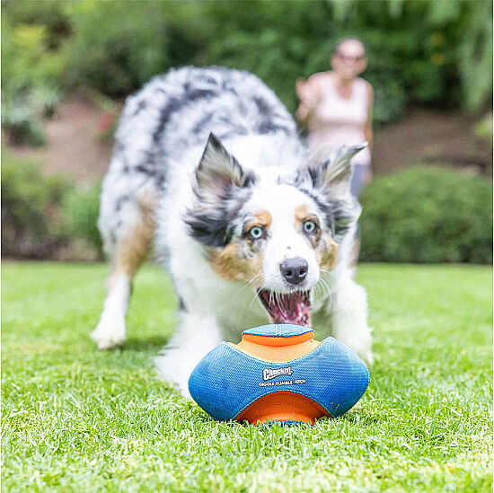 Chuckit Giggle Fumble Fetch Sesli Köpek Oyun Topu - 5