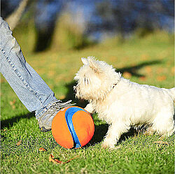 Chuckit Kick Fetch Ball Dog Toy Small - 4