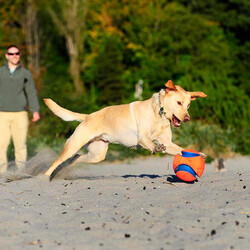 Chuckit Kick Fetch (Büyük Boy) - Thumbnail