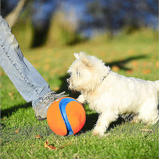 Chuckit Kick Fetch Köpek Oyuncağı (Küçük Boy) - 4
