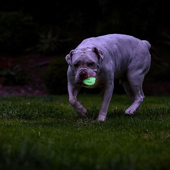 Chuckit Max Glow Air Fetch Gece Parlayan Köpek Oyun Topu (Orta Boy) - 4