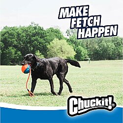 Chuckit Rope Fetch İpli Oyun Topu - 3