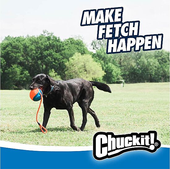 Chuckit Rope Fetch İpli Oyun Topu - 3
