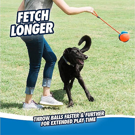 Chuckit Rope Fetch İpli Oyun Topu - 4