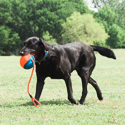 Chuckit Rope Fetch İpli Oyun Topu - Thumbnail