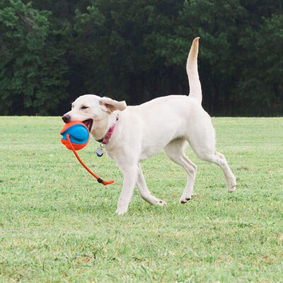 Chuckit Rope Fetch İpli Oyun Topu