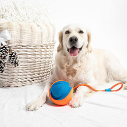 Chuckit Rope Fetch İpli Oyun Topu - Thumbnail