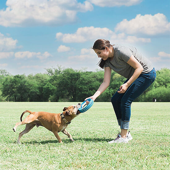 Chuckit Rugged Fetch Wheel Ekstra Dayanıklı Köpek Oyun Halkası - 4