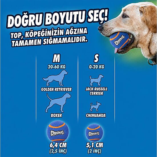 Chuckit Sesli 2 li Tenis Köpek Oyun Topu (Büyük Boy) - 3
