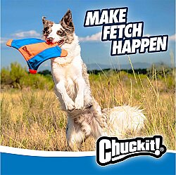 Chuckit Sincap Frizbi (Büyük Boy) - 4