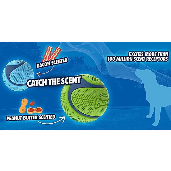 Chuckit Sniff Fetch Fıstık Ezmesi Kokulu Köpek Oyun Topu (Orta Boy) - 4