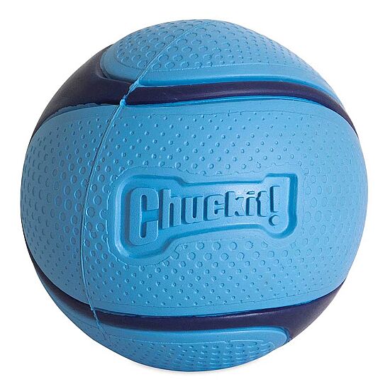 Chuckit Sniff Fetch Jambon Kokulu Köpek Oyun Topu (Orta Boy) - 2