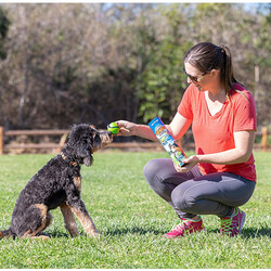 Chuckit Sniff Fetch Kokulu Köpek Oyun Topu 4 lü Kutulu Set (Orta Boy) - 5