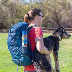 Chuckit Sniff Fetch Kokulu Köpek Oyun Topu 4 lü Kutulu Set (Orta Boy) - 7