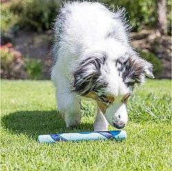 Chuckit Sniff Fetch Stick Kokulu Köpek Oyuncağı (Jambon Aromalı) - 6
