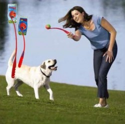 Chuckit Classic 26 M Launcher Fırlatmalı Köpek Oyuncağı Medium + (Tenis Topu) - Thumbnail